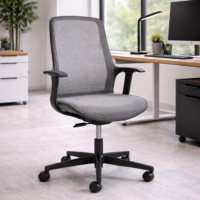 Juliet Meeting Chair