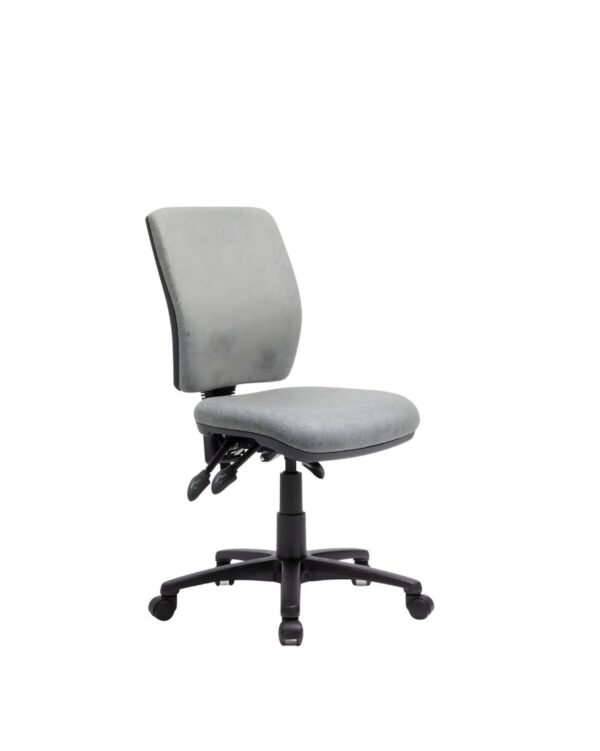 Ellin Task Chair (2)