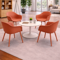 Plateau Meeting Chair 2 Plateau Meeting Chair 2