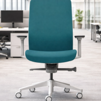 Telopea Exec Chair
