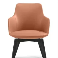 Telopea Arm Chair 3