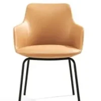 Telopea Arm Chair 3