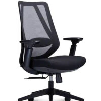Plateau Task Chair