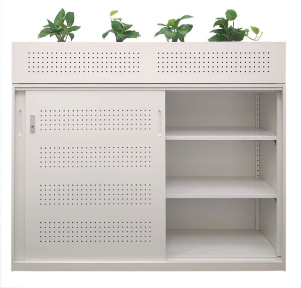 Ficus Cabinet Planter