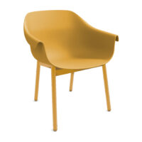 Plateau Meeting Chair 2