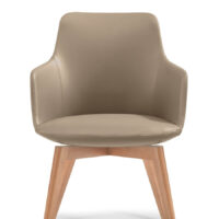 Telopea Meeting Chair 2