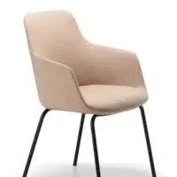 Telopea Meeting Chair 2